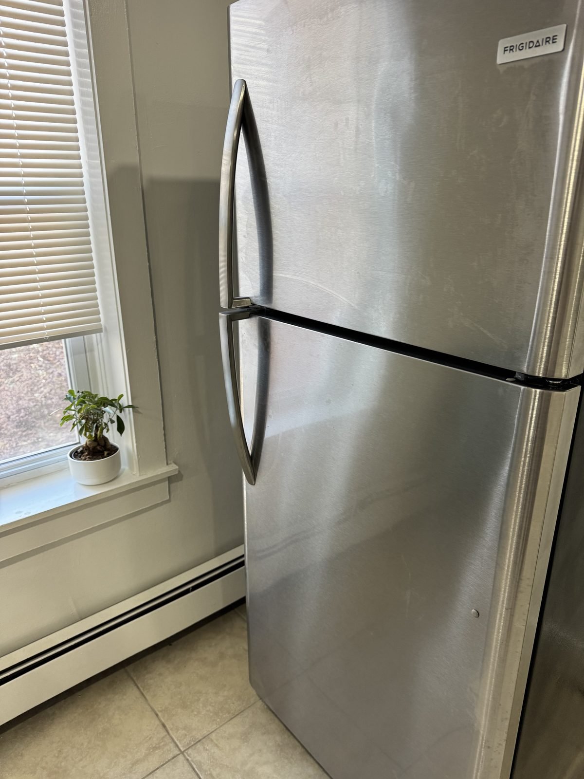 Refrigerator after cleaning — streak-free stainless steel